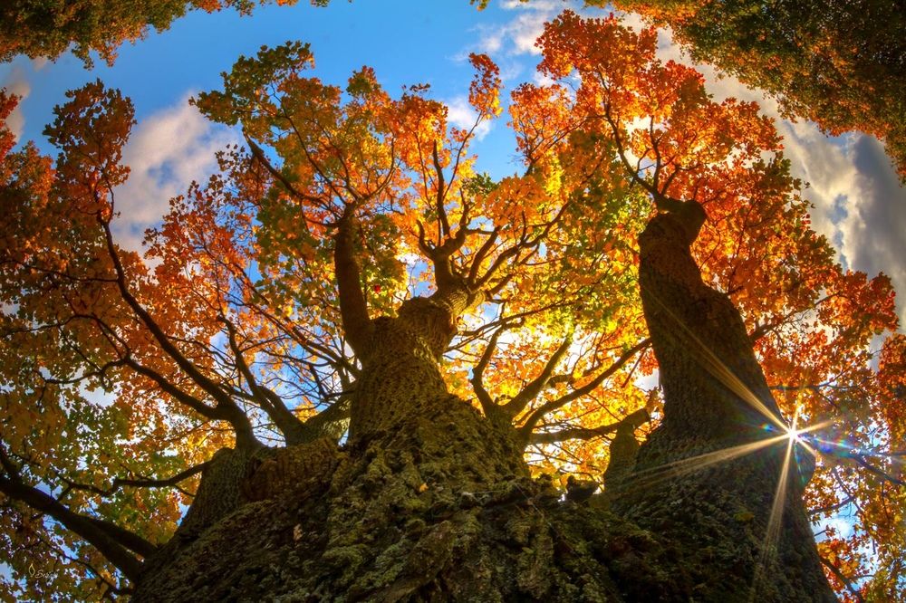 Photograph by Серж Домбровский