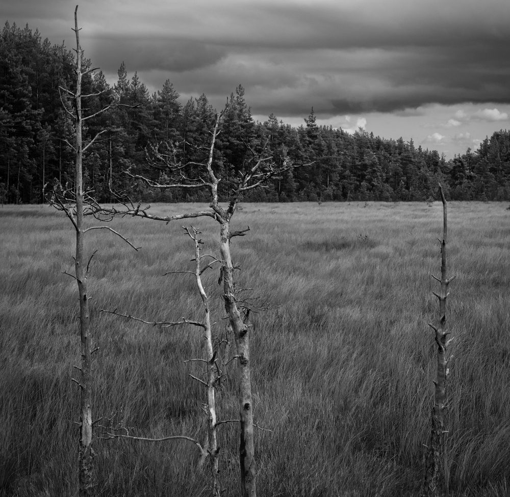 Фотография автора Маргарита Гиршфельд