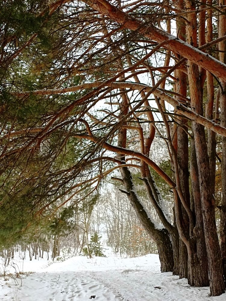 Фотография автора Natalya Firsova