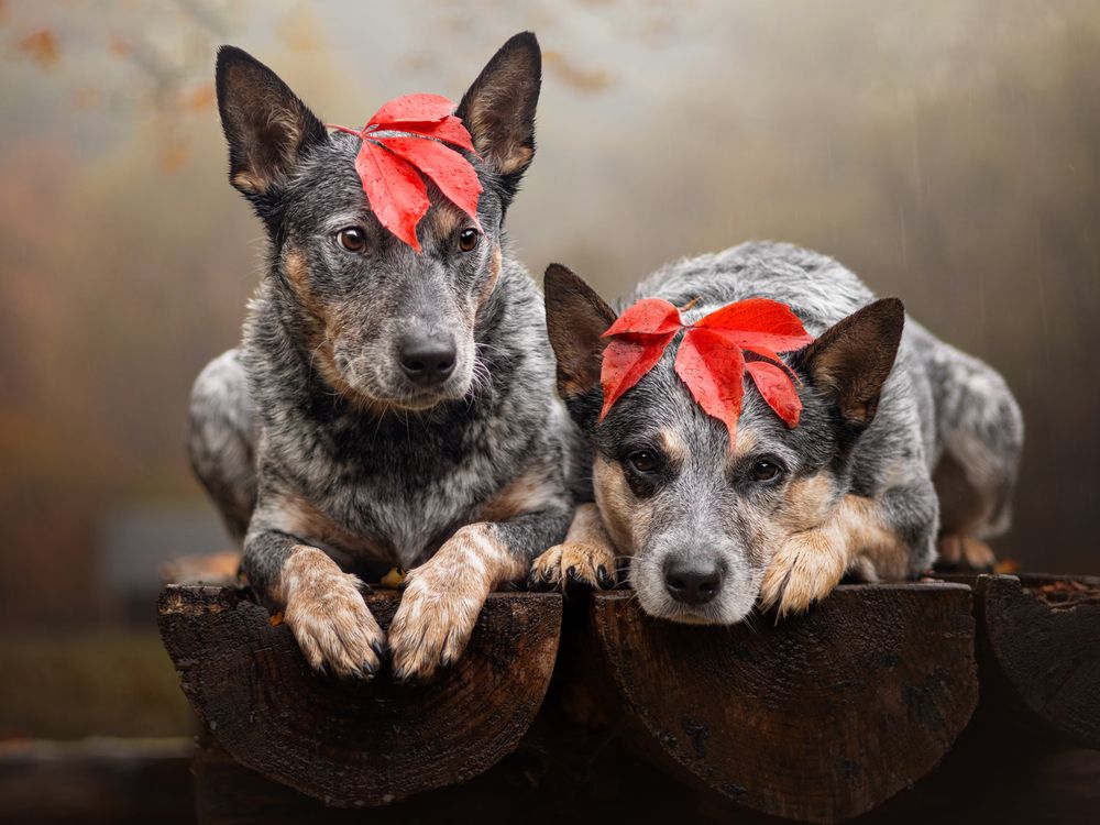 Photograph by Dorota Hnatová