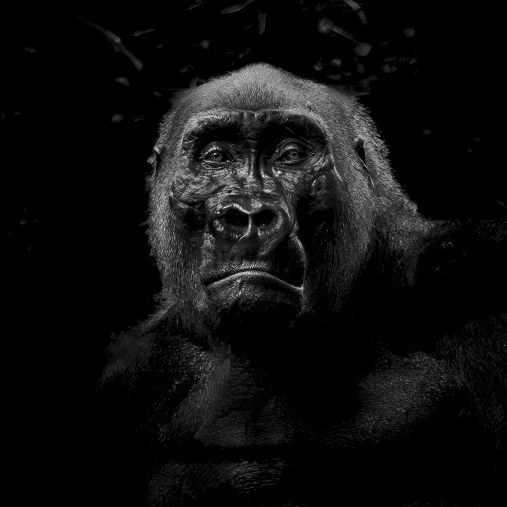 Photograph by Turgay Uzer