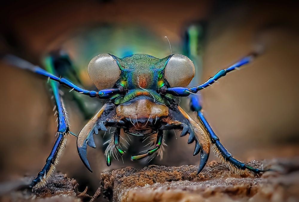 Photograph by Савчук Анатолий