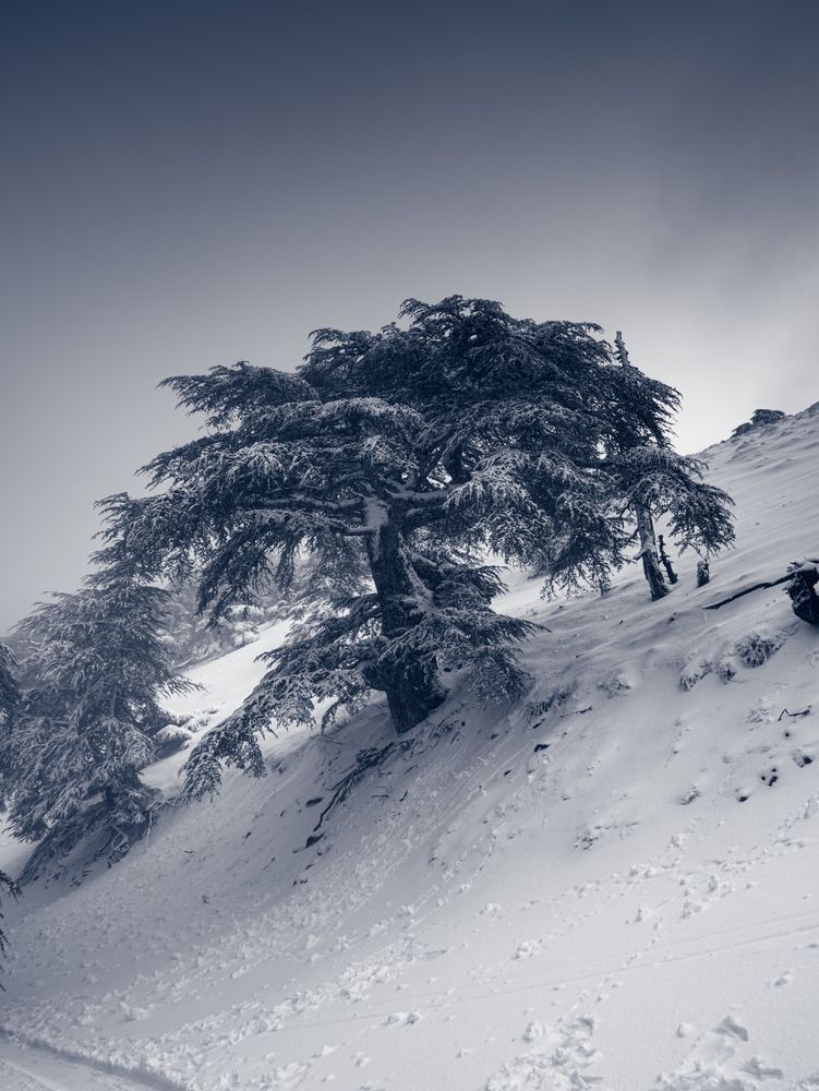 Photograph by Samir Meftah