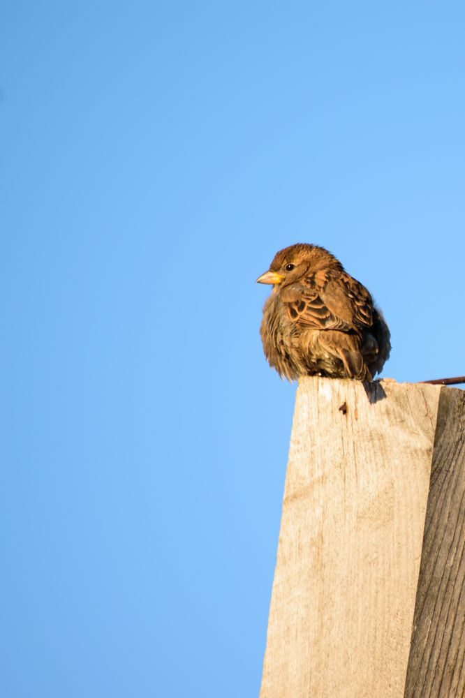 Photograph by Ирина Корнева