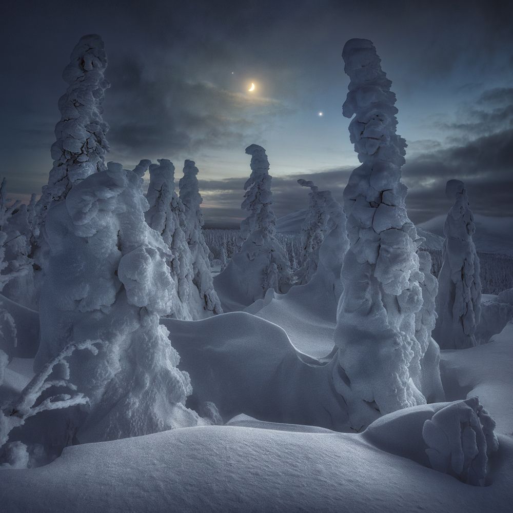 Photograph by Медянцев Дмитрий