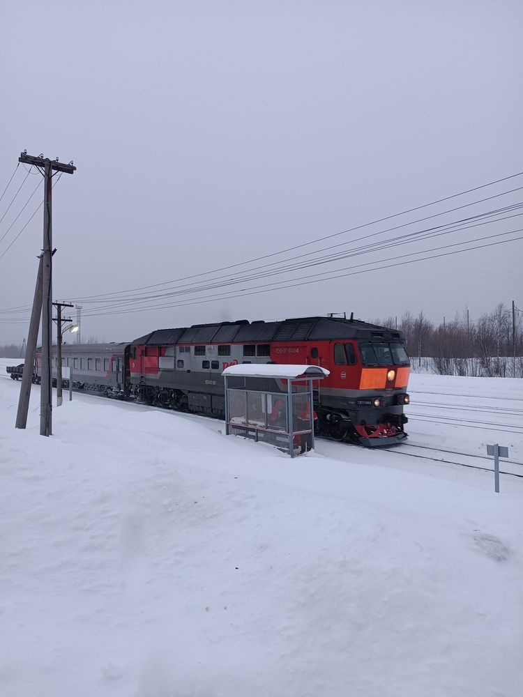 Photograph by Nikita Zorin