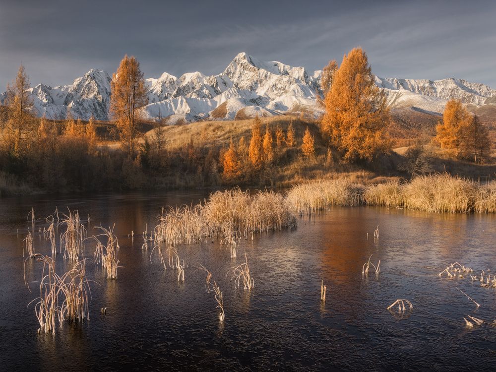 Фотография автора Медянцев Дмитрий
