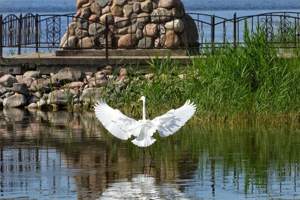 Photograph by Анна Зорька