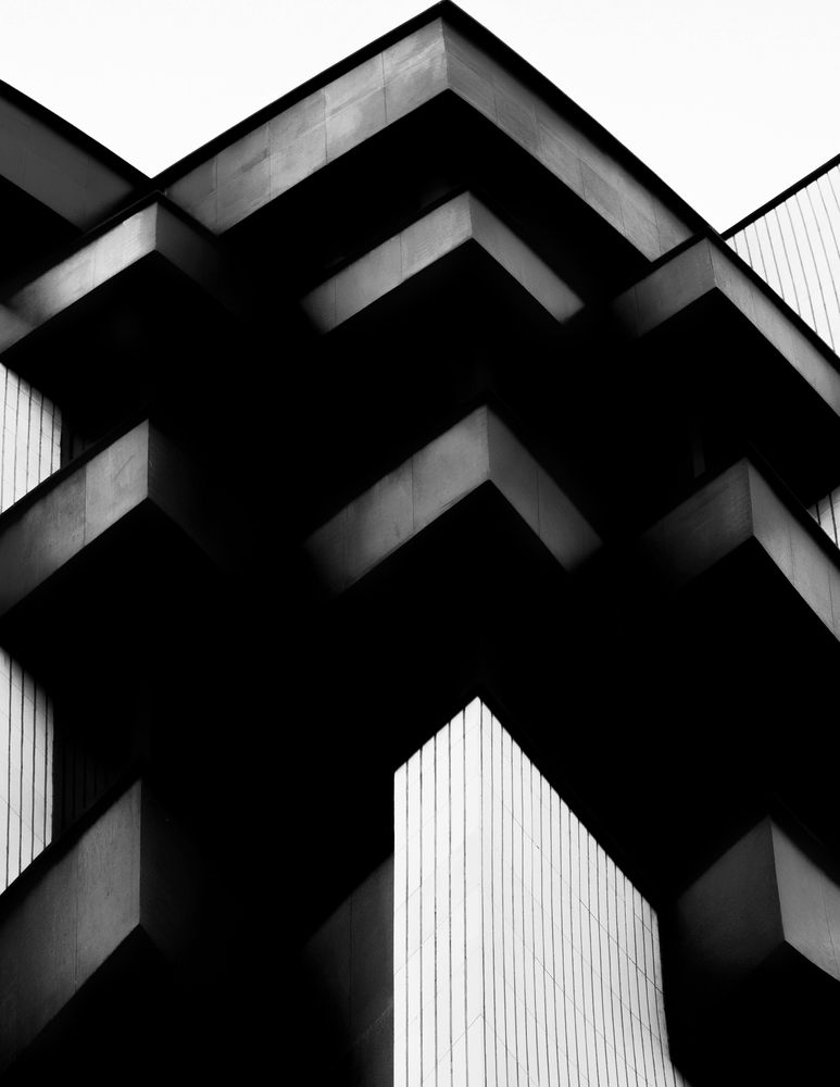 Фотография автора Mohammad Mohseni