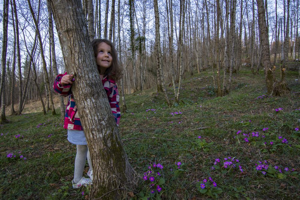 Photograph by Arasya