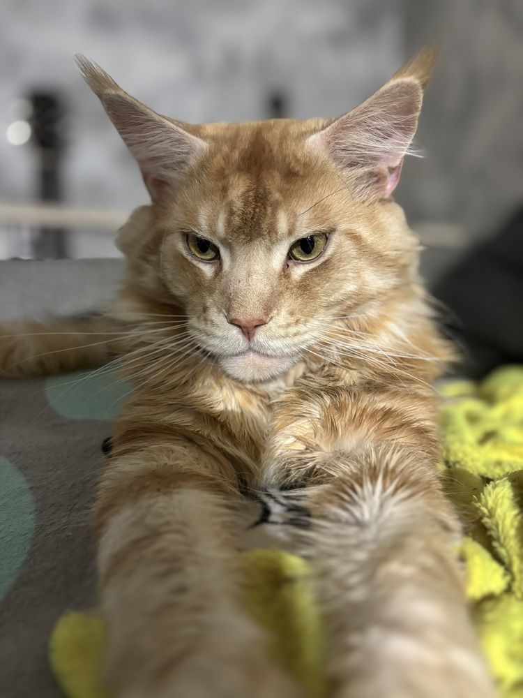 Photograph by Юлия Зеленева