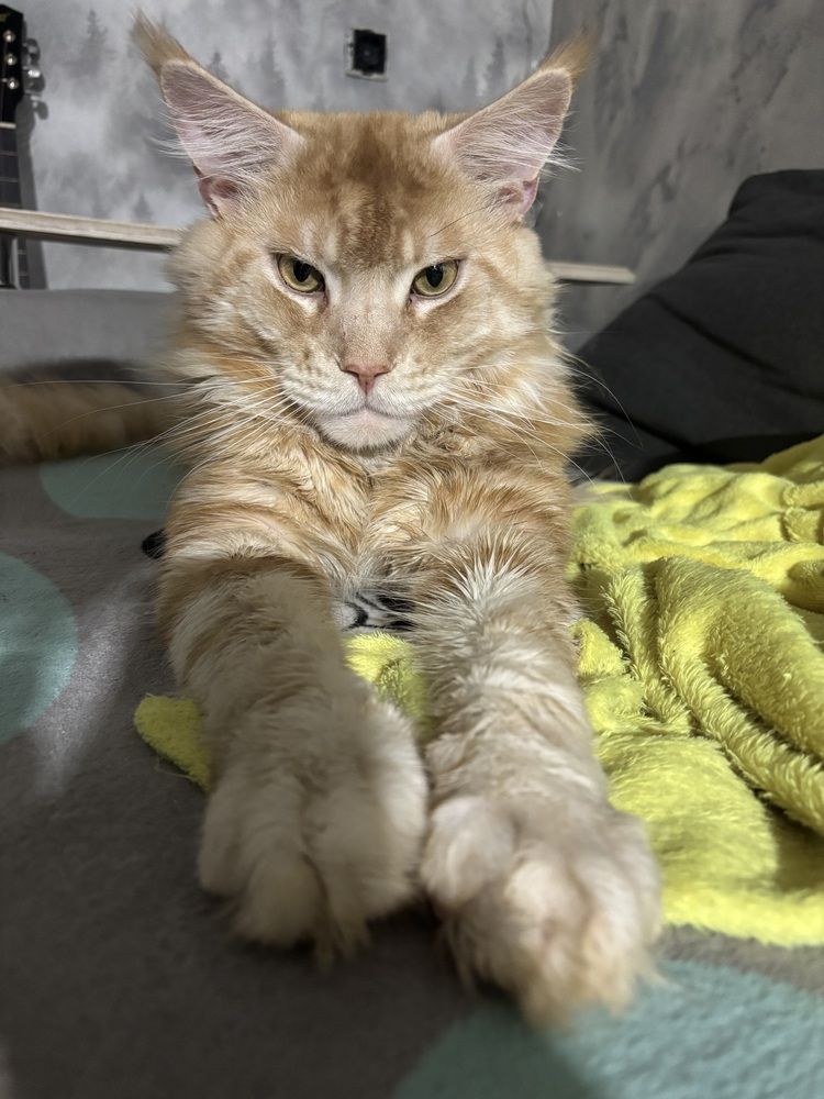 Photograph by Юлия Зеленева