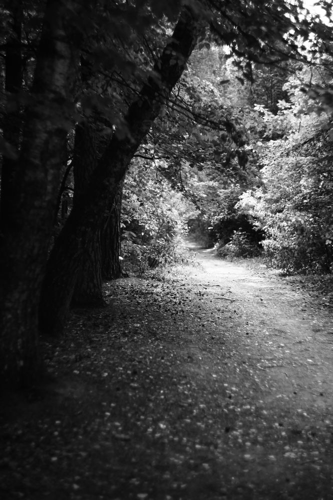 Photograph by Milla Luca