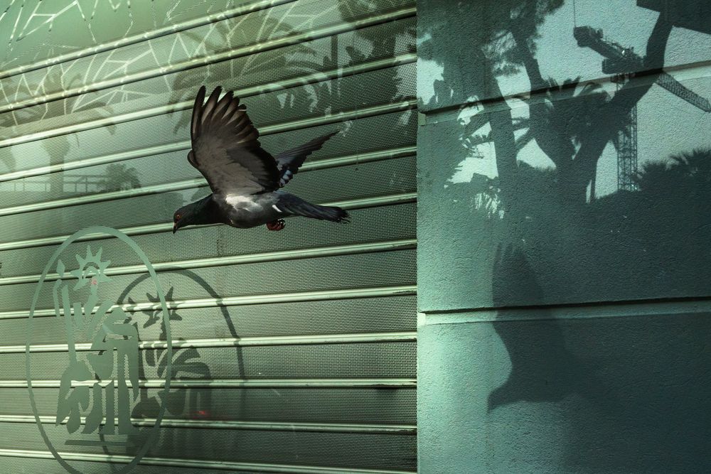 Photograph by Pierre Pauwels