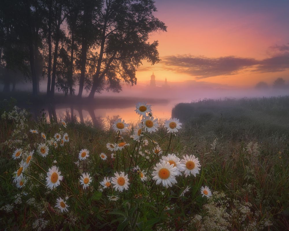 Фотография автора Медянцев Дмитрий