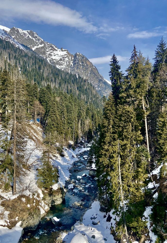 Photograph by Ирина Молибог