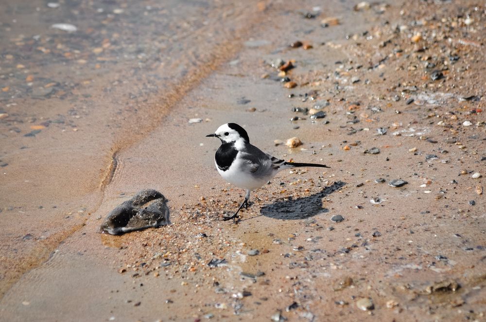 Photograph by Татьяна Герасимцева
