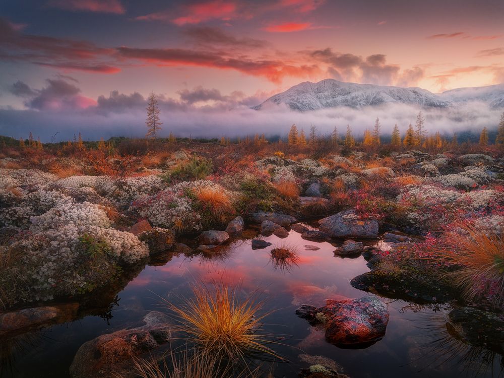 Фотография автора Медянцев Дмитрий