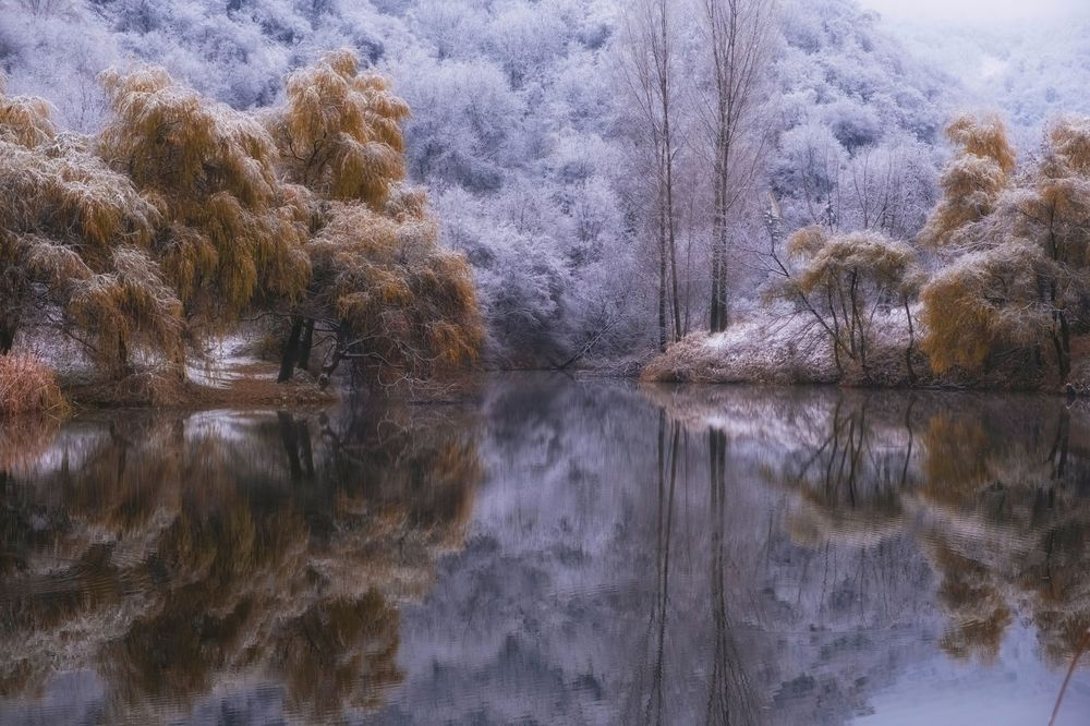 Photograph by Светлана Краюшкина