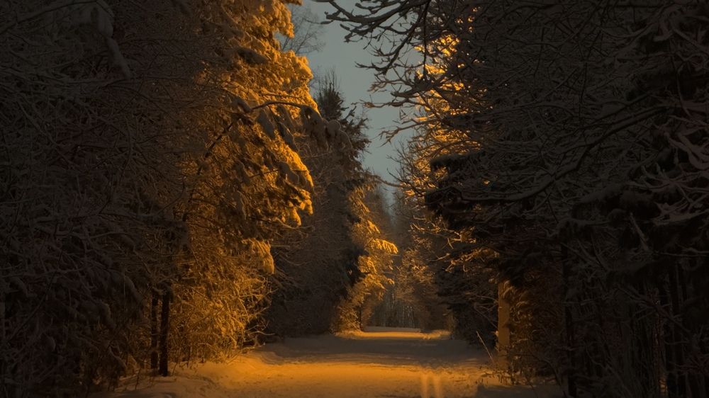 Photograph by Дмитрий Бобровский