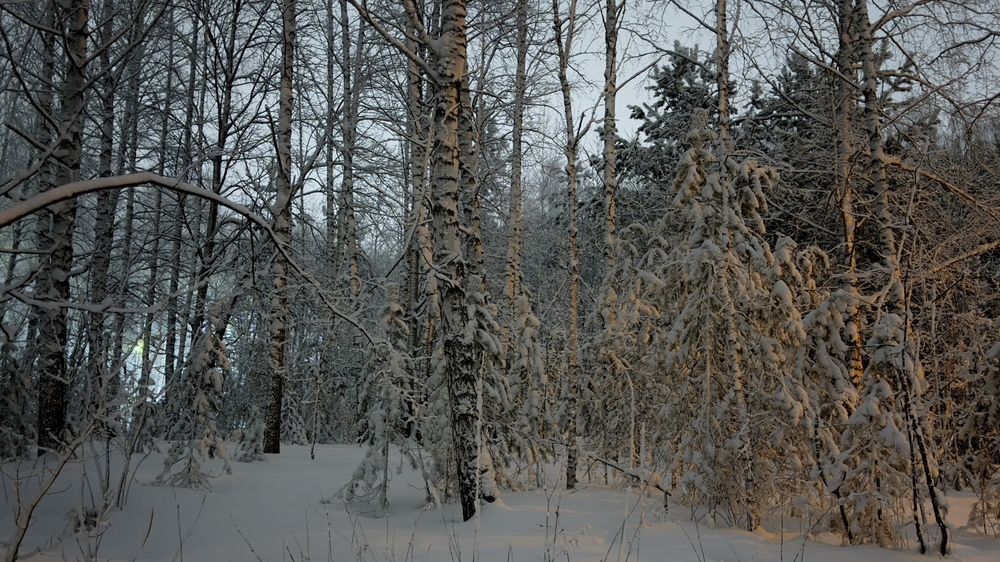 Photograph by Дмитрий Бобровский