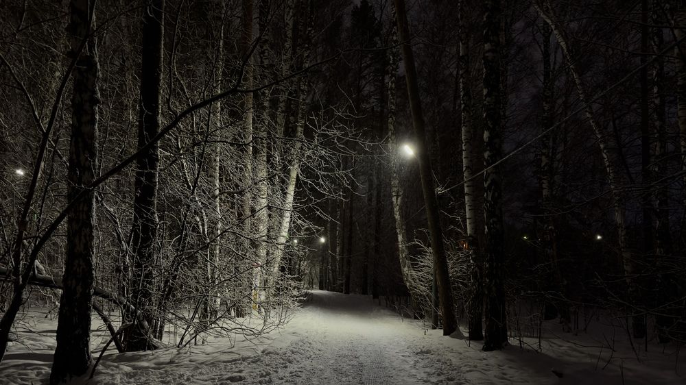 Photograph by Дмитрий Бобровский