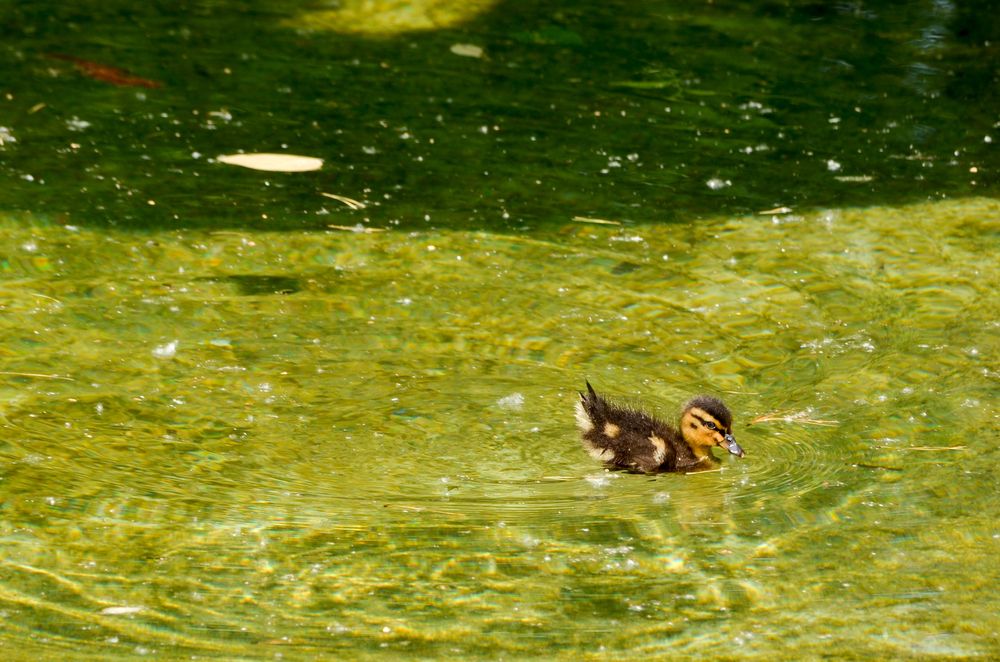 Photograph by Татьяна Герасимцева