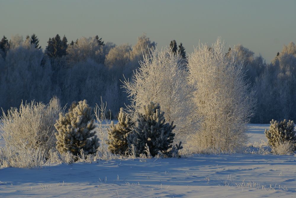 Photograph by Светлана Петренко