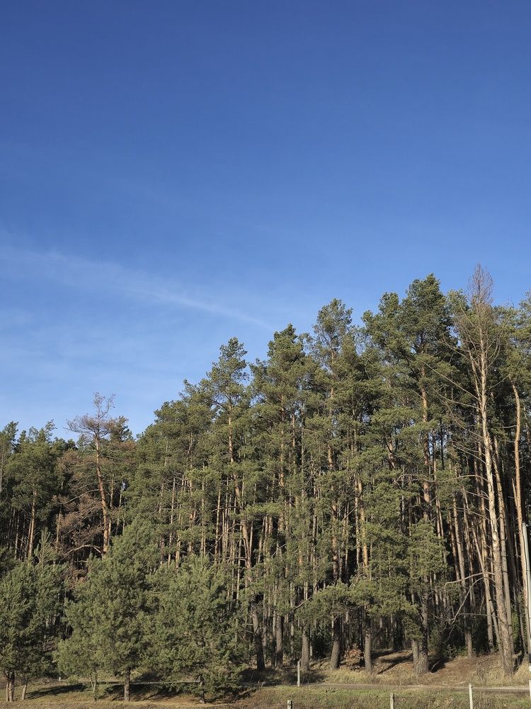 Photograph by Карина Слабкая