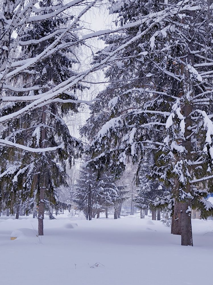 Photograph by Ирина Ященко