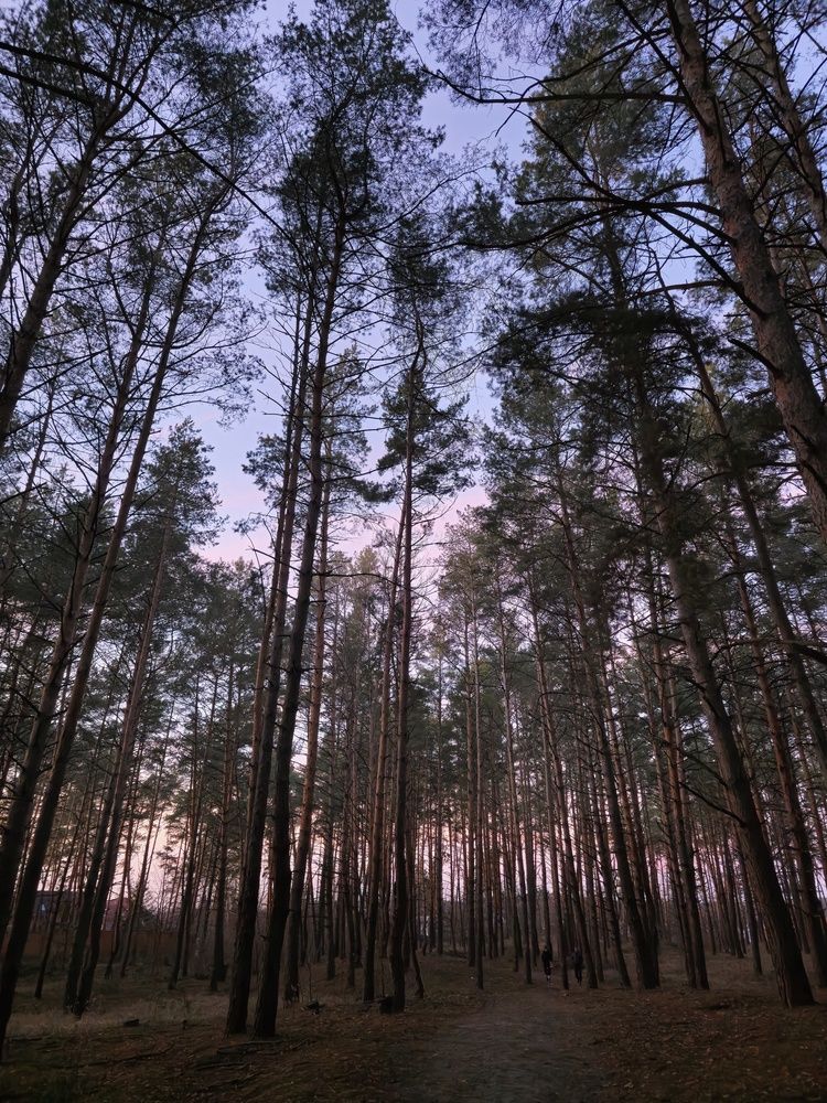 Photograph by Карина Слабкая