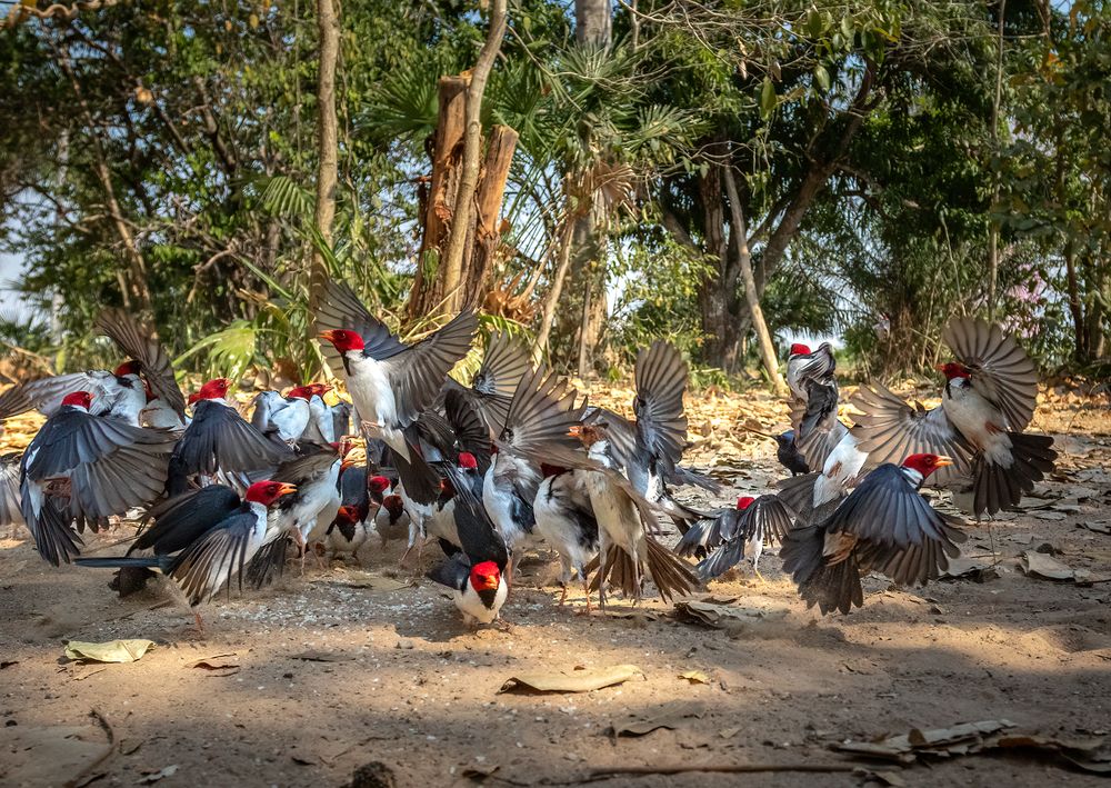 Photograph by Valdir Hobus