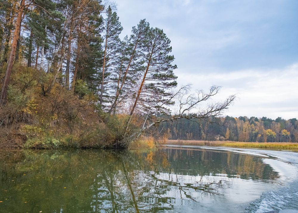 Photograph by Андрей Чернышов