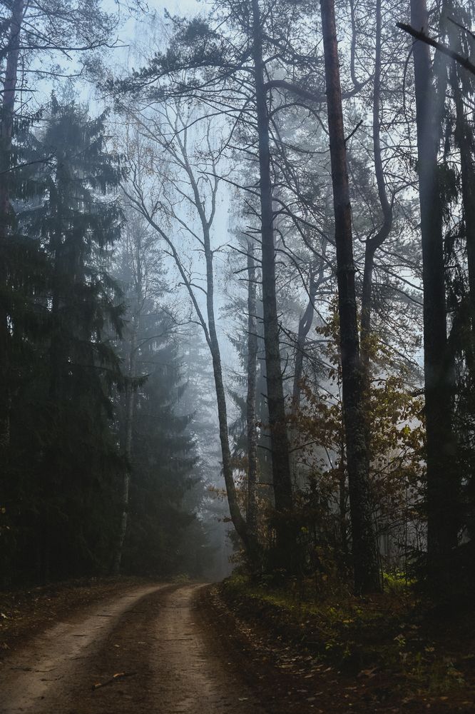 Photograph by Наталья Сергеева