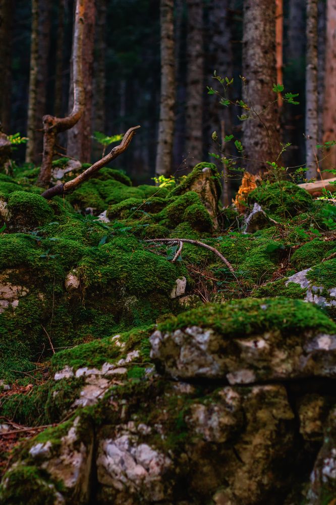 Photograph by Lana Soldatova