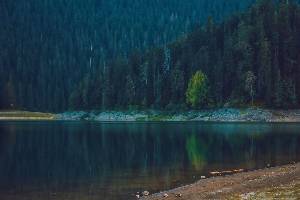 Photograph by Lana Soldatova