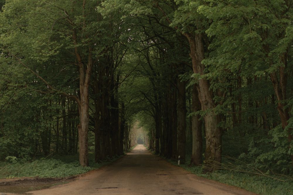 Фотография автора Дарья Чистякова