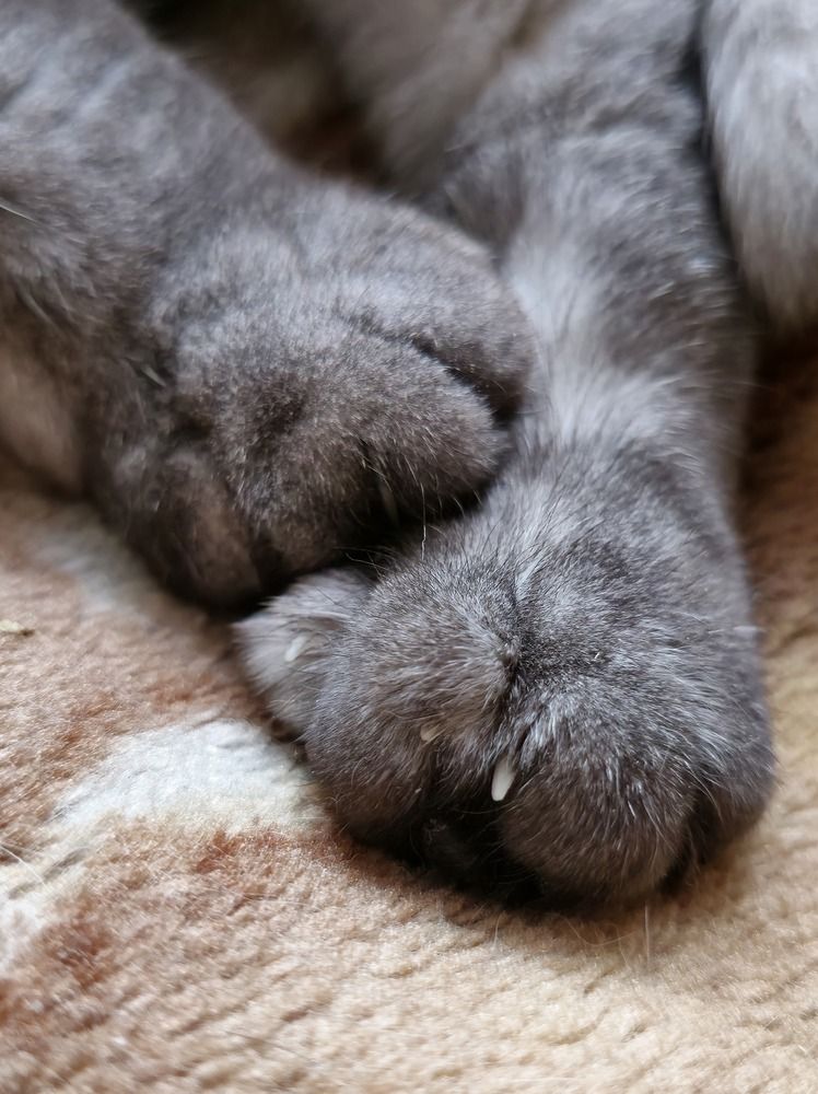 Photograph by Карина Слабкая