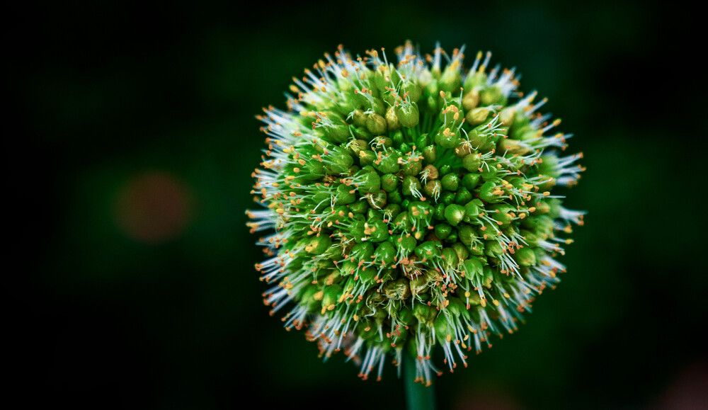 Photograph by Толян Бууулочкин