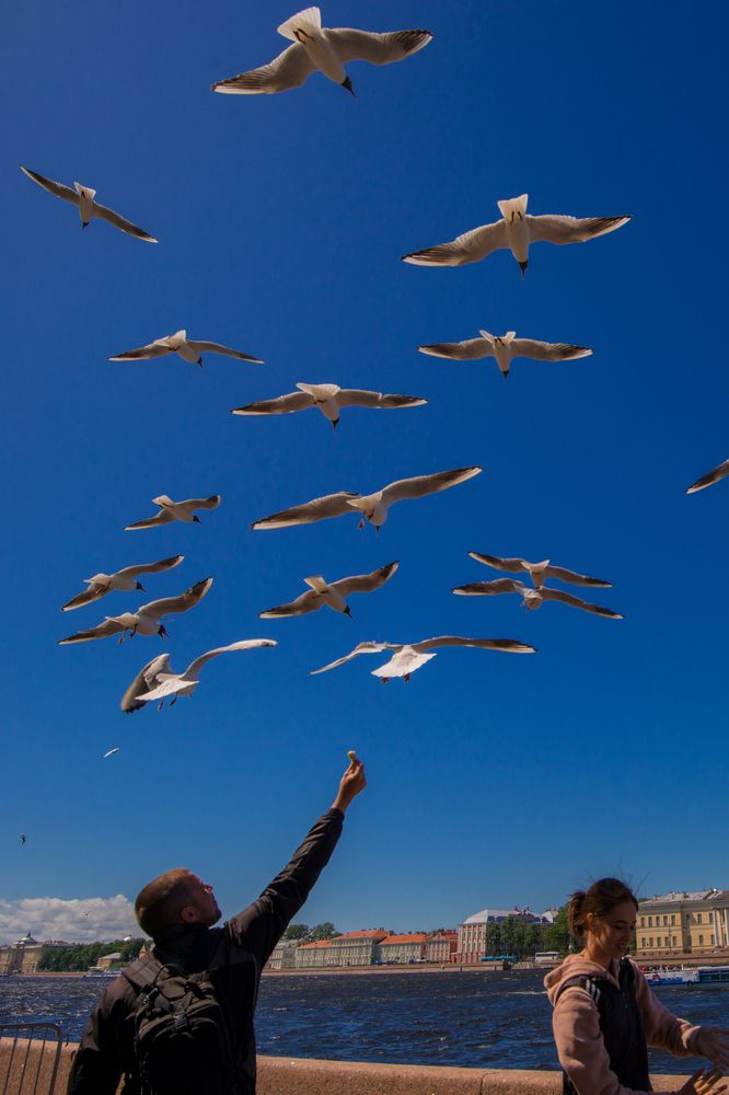 Photograph by Валерий Худынцев