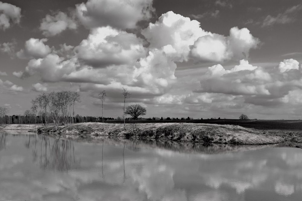 Пробуждение весной у молочной реки