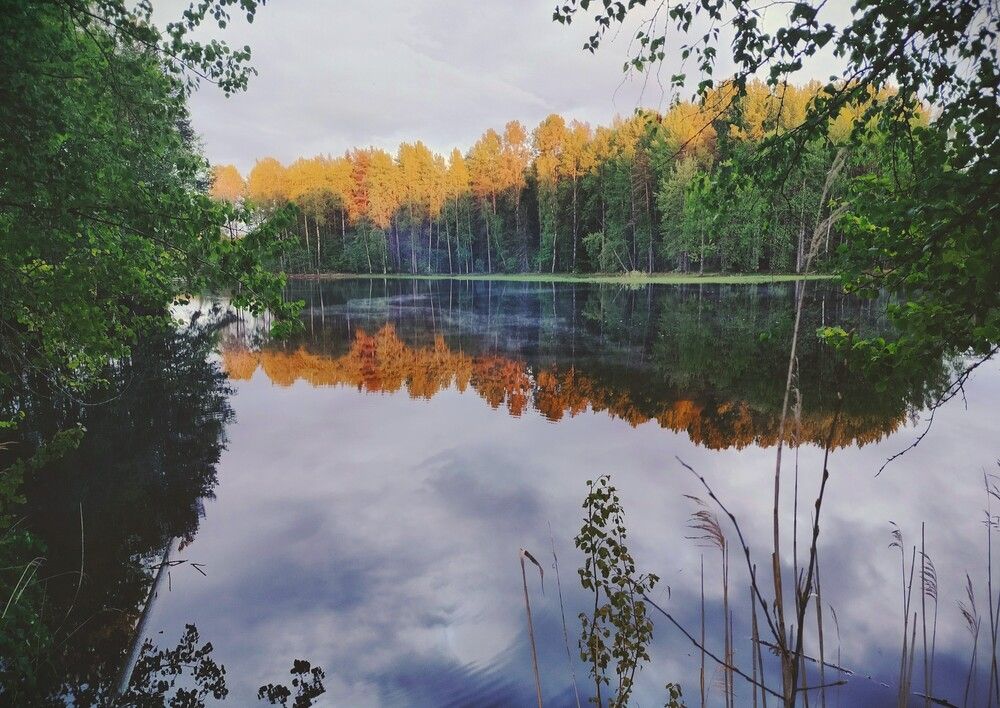 Photograph by Людмила Ваганова