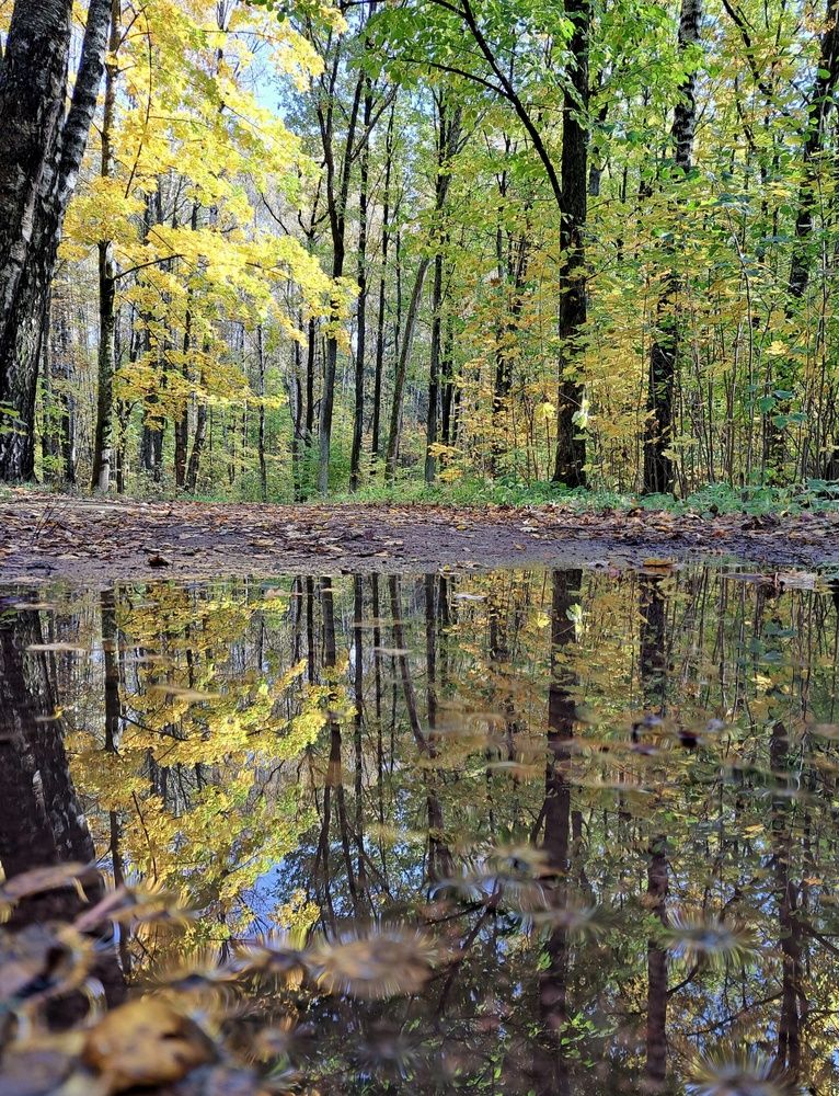 Photograph by Марина Леонова