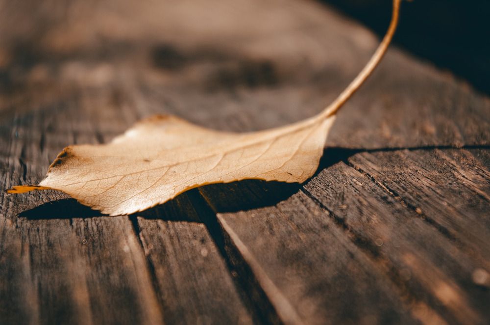 Photograph by Марина