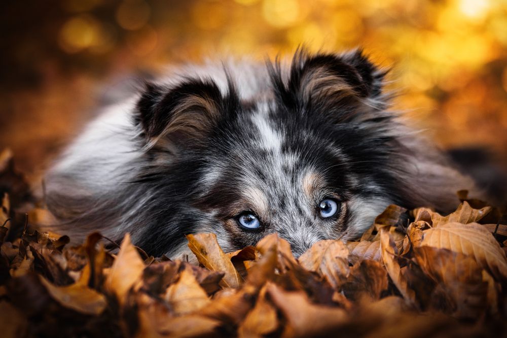 Photograph by Daniela Schmid