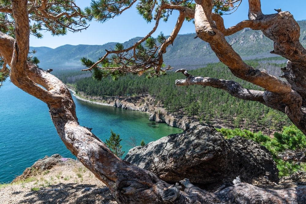 Photograph by Татьяна