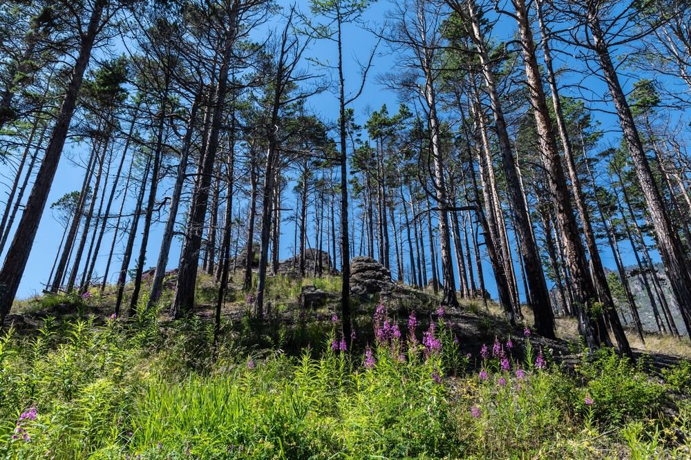 Photograph by Татьяна