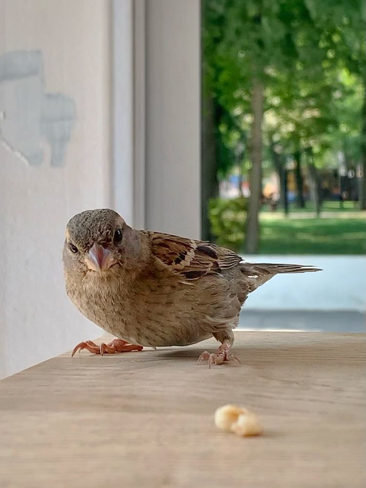 Фотография автора Татьяна Гончарова