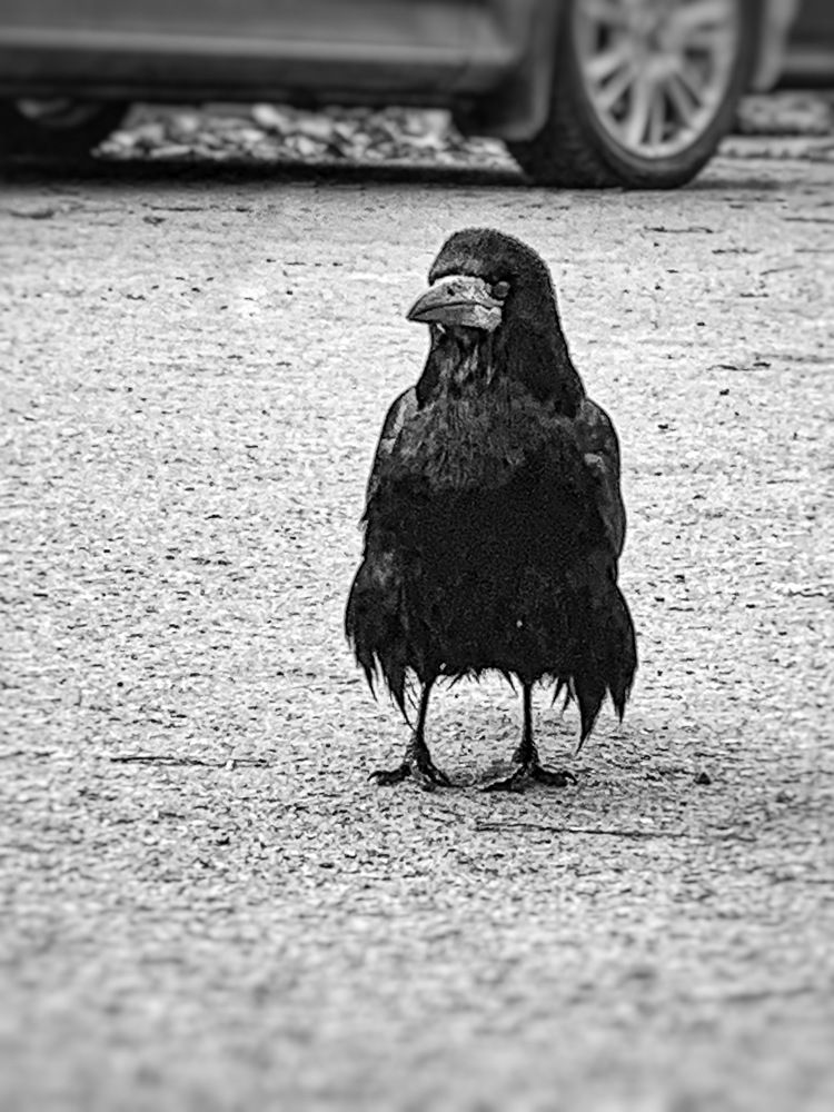 Фотография автора Татьяна Гончарова