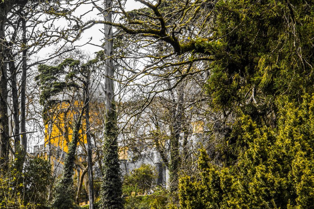 Photograph by Ernest Spiteri Gonzi